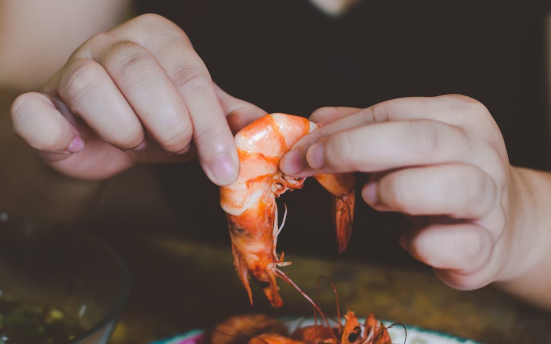 Are Prawns Good for Cholesterol? Let Us Find Out!