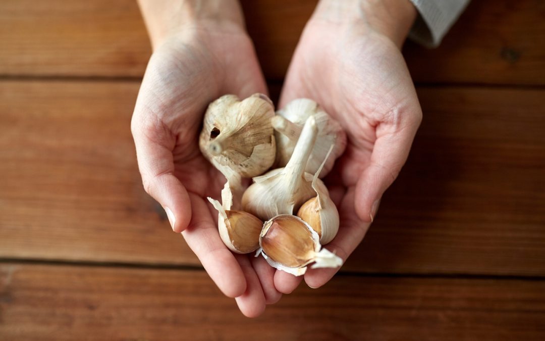 Garlic for Cholesterol – Is Good or bad?