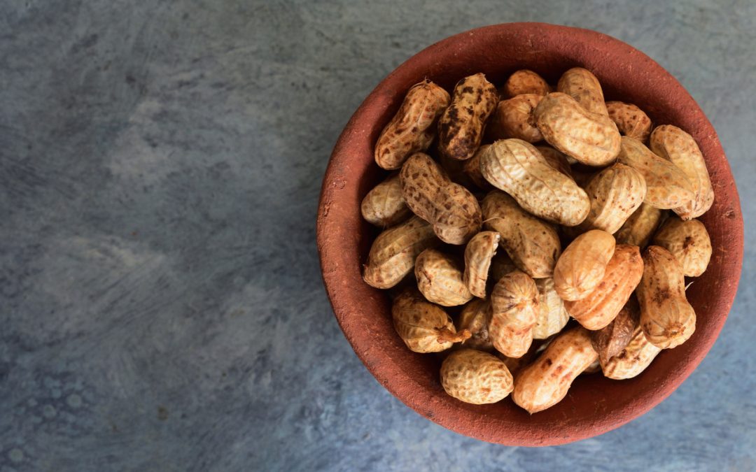 Is Groundnut Good for Cholesterol? Let's Find Out